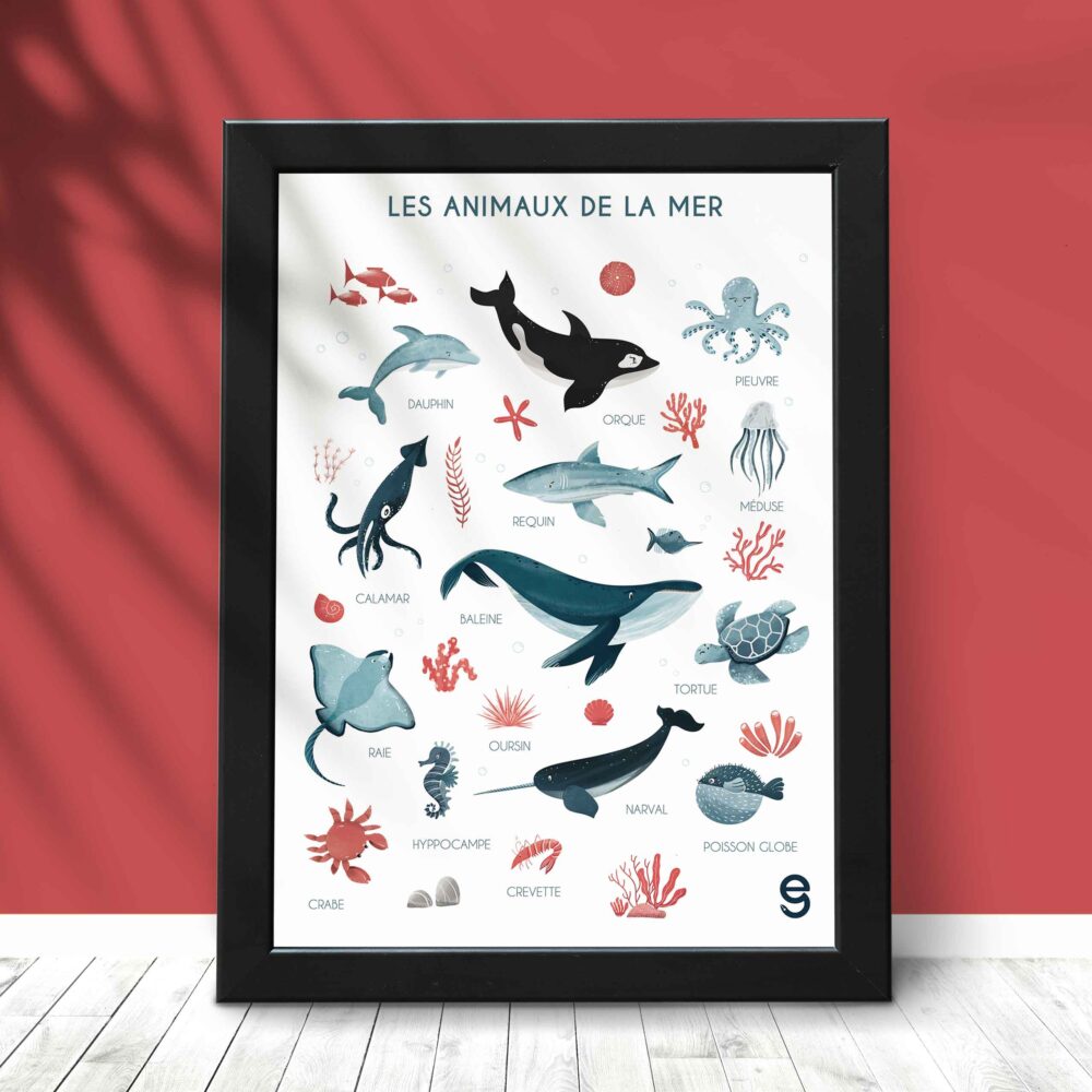 Affiche animaux de la mer